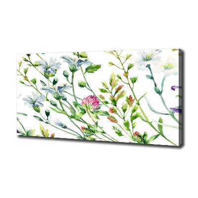 Tableau sur toile Fleurs sauvages