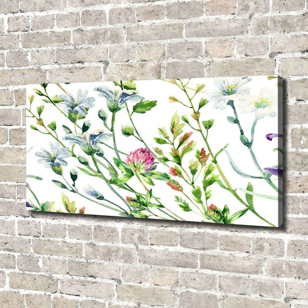 Tableau sur toile Fleurs sauvages