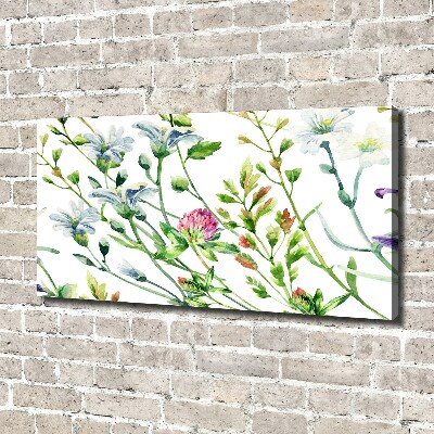 Tableau sur toile Fleurs sauvages