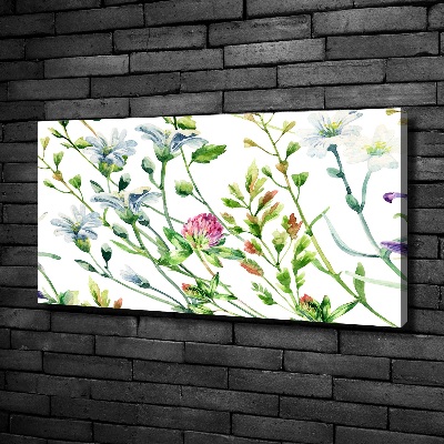 Tableau sur toile Fleurs sauvages