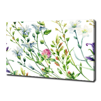 Tableau sur toile Fleurs sauvages