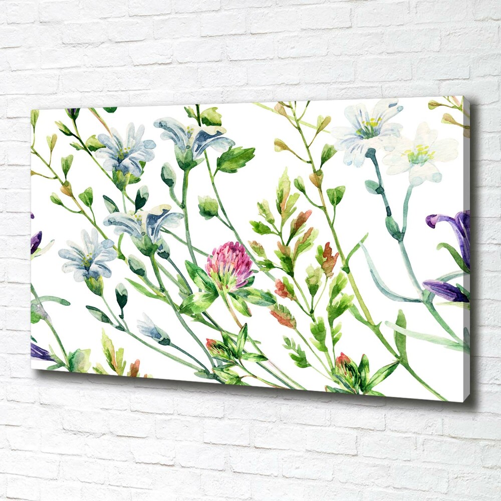 Tableau sur toile Fleurs sauvages