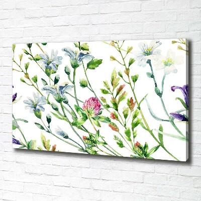 Tableau sur toile Fleurs sauvages