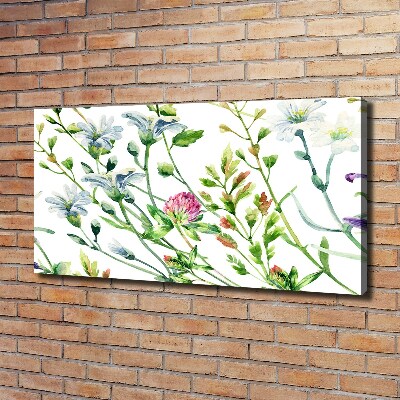 Tableau sur toile Fleurs sauvages