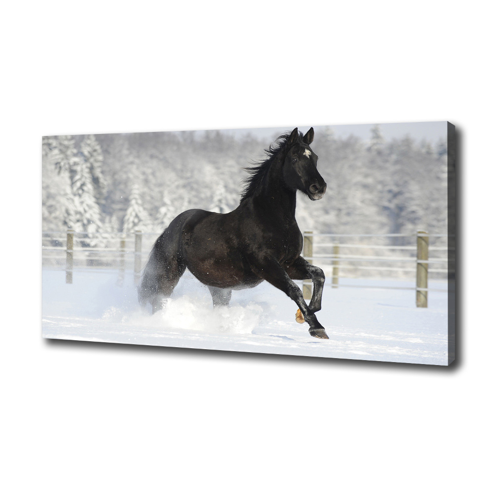 Tableau mural sur toile Cheval au galop Neige