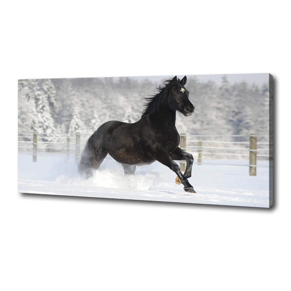 Tableau mural sur toile Cheval au galop Neige