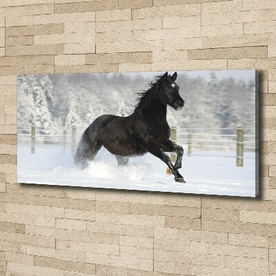 Tableau mural sur toile Cheval au galop Neige