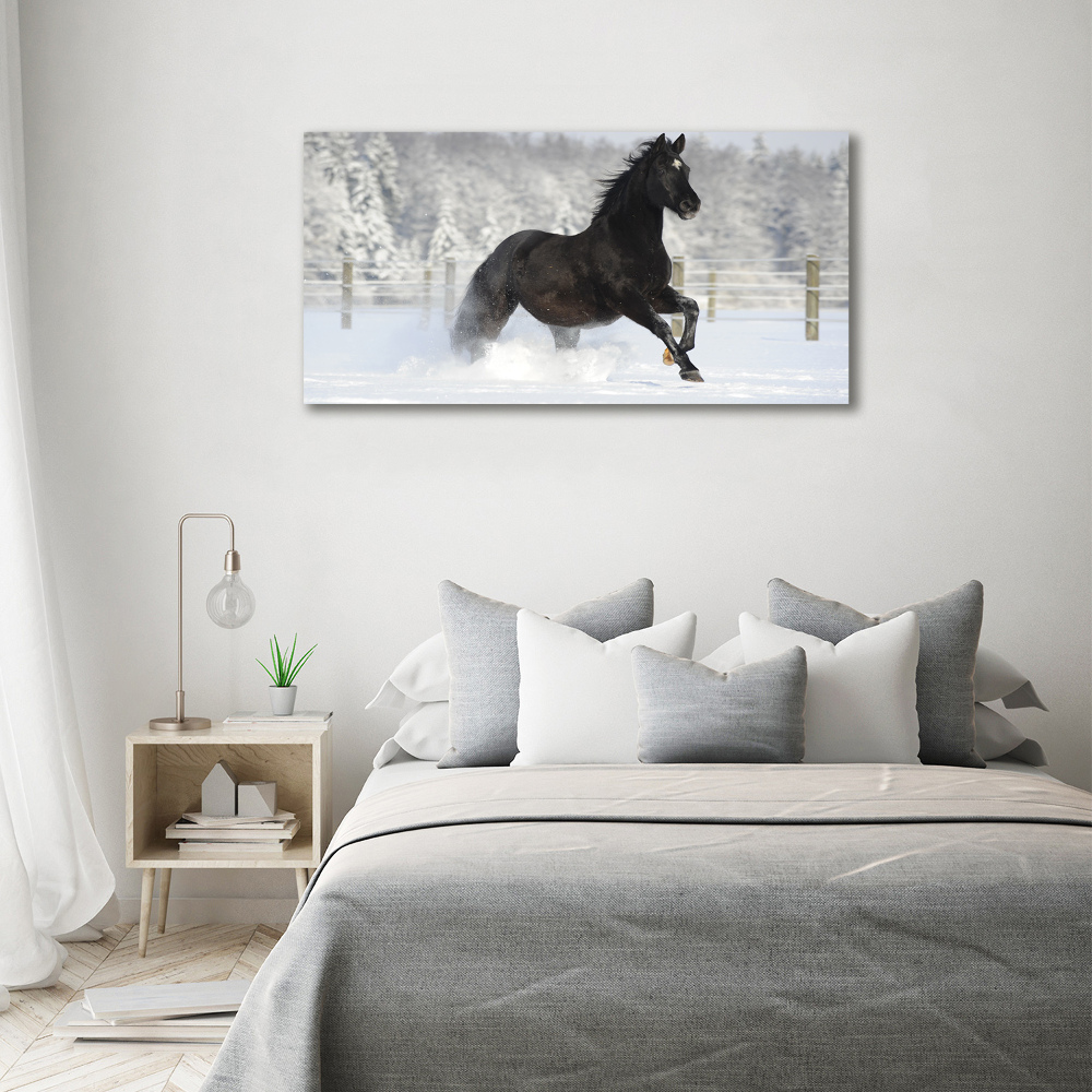 Tableau mural sur toile Cheval au galop Neige