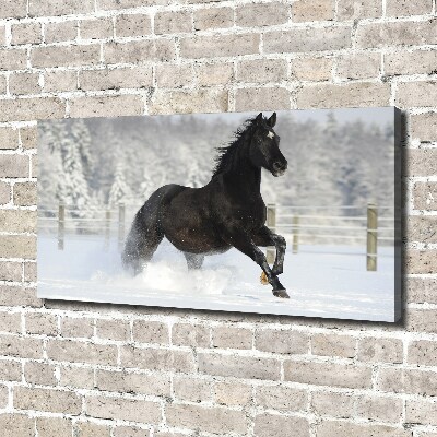 Tableau mural sur toile Cheval au galop Neige