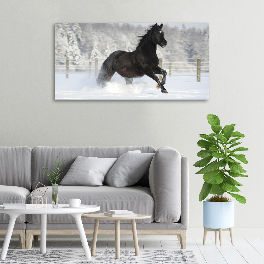 Tableau mural sur toile Cheval au galop Neige