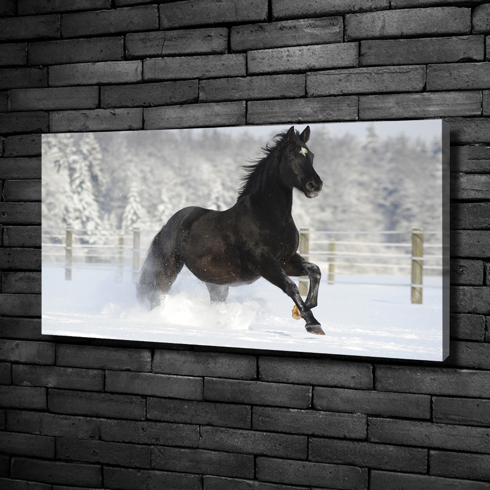 Tableau mural sur toile Cheval au galop Neige