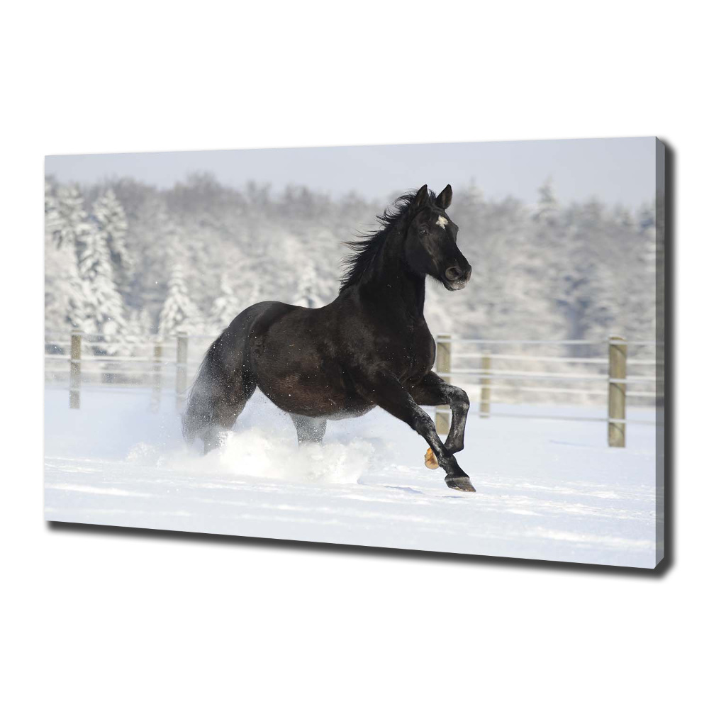 Tableau mural sur toile Cheval au galop Neige