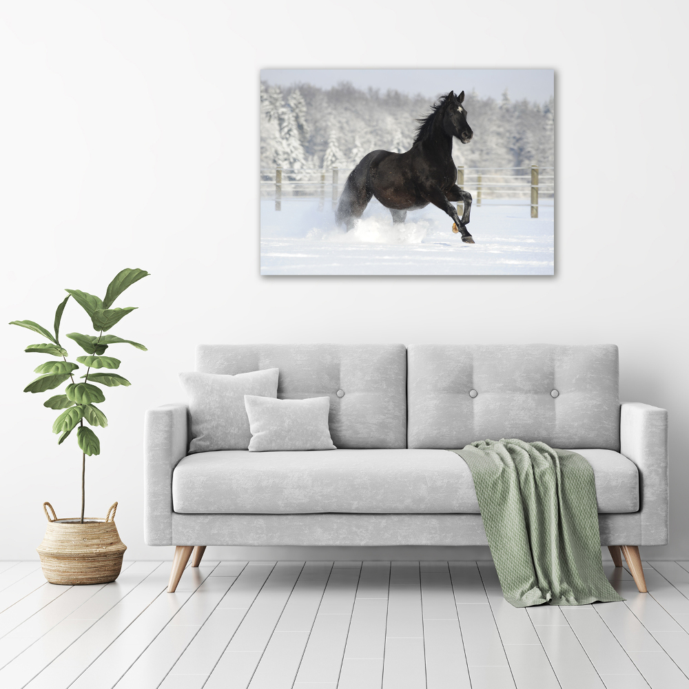 Tableau mural sur toile Cheval au galop Neige