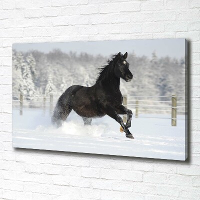 Tableau mural sur toile Cheval au galop Neige