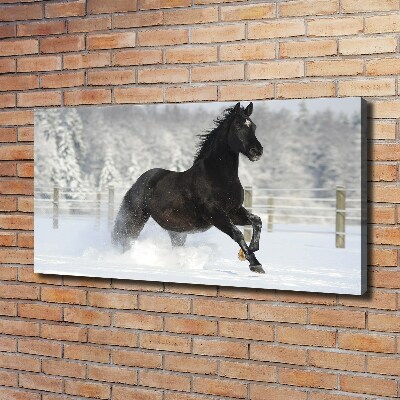 Tableau mural sur toile Cheval au galop Neige