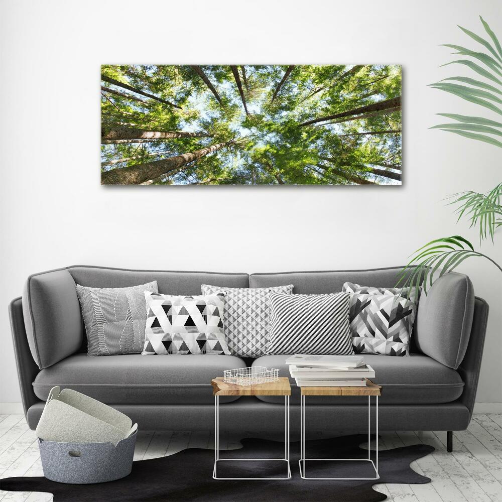 Tableau photo sur toile Couronne d'arbre