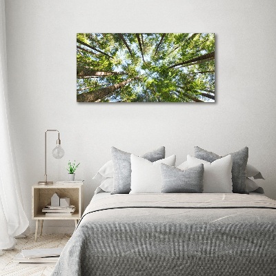 Tableau photo sur toile Couronne d'arbre