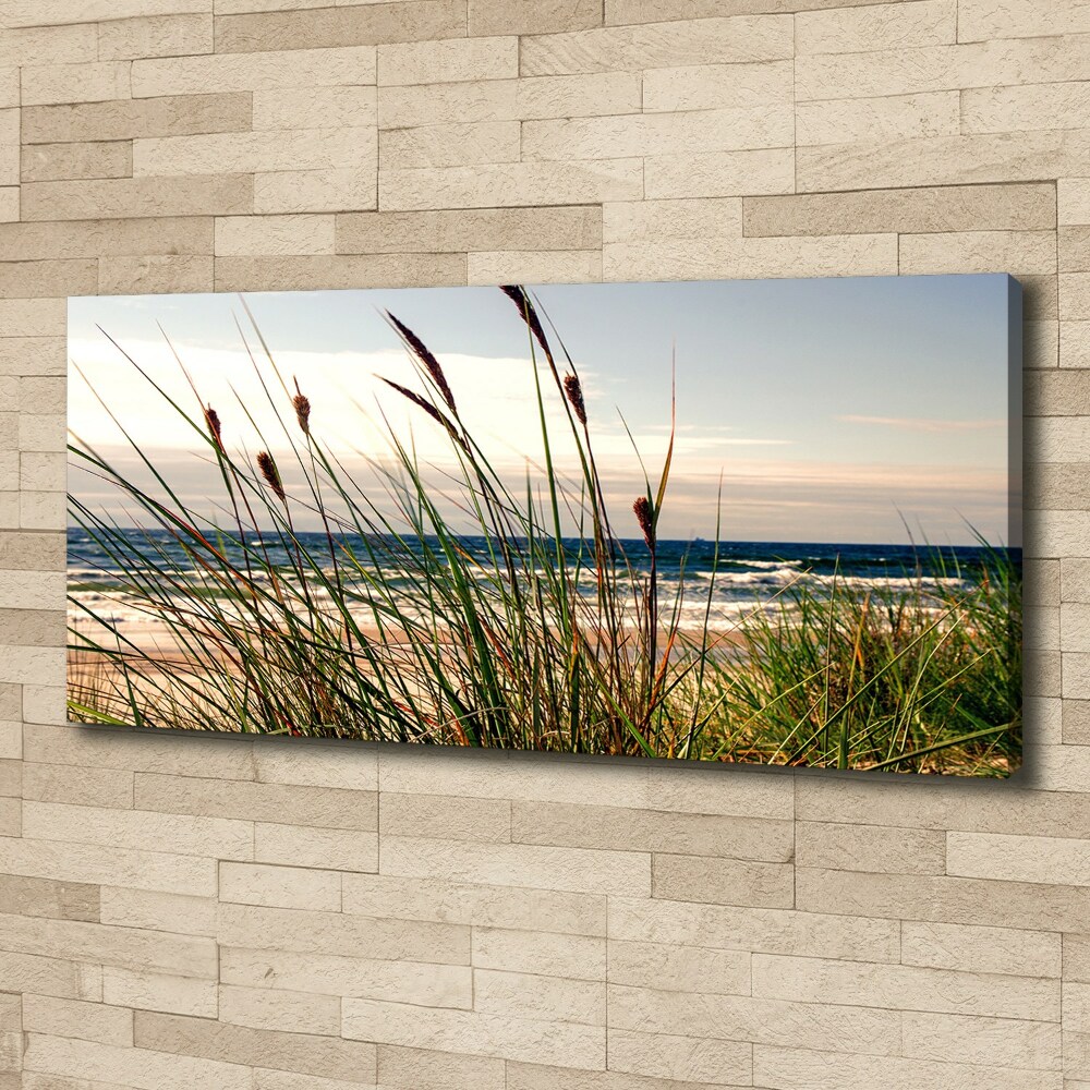 Tableau photo sur toile Les dunes de mer