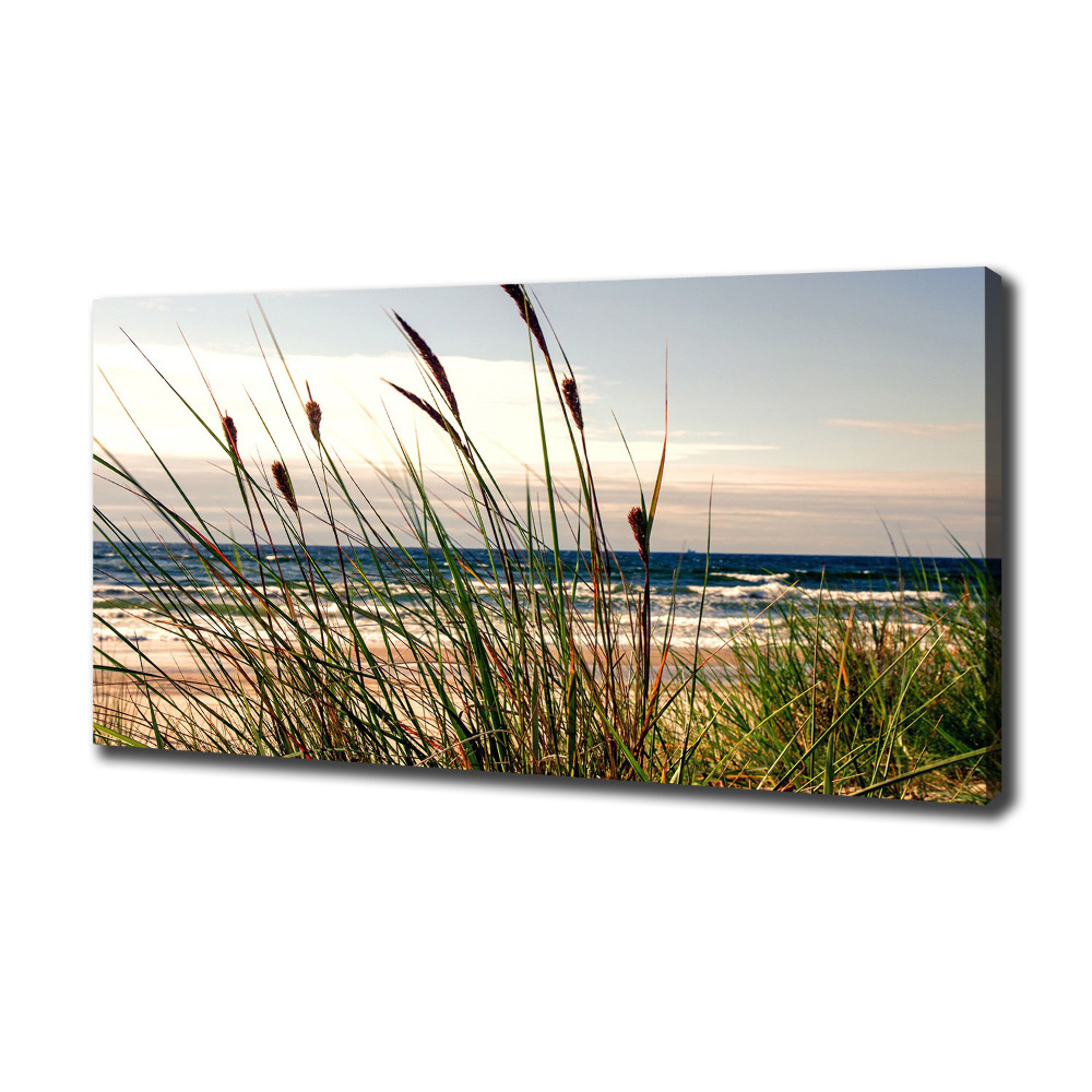 Tableau photo sur toile Les dunes de mer