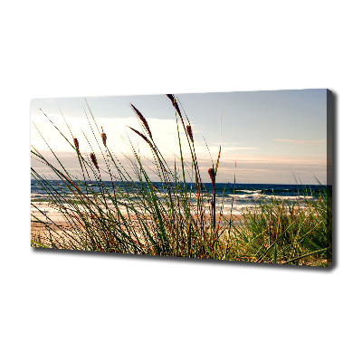 Tableau photo sur toile Les dunes de mer