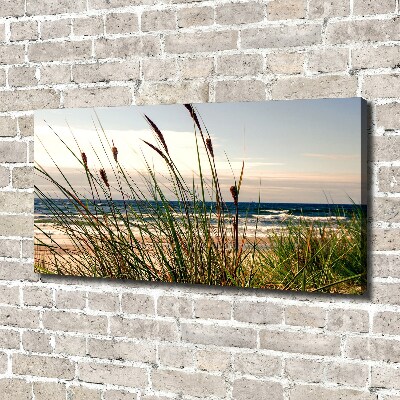 Tableau photo sur toile Les dunes de mer