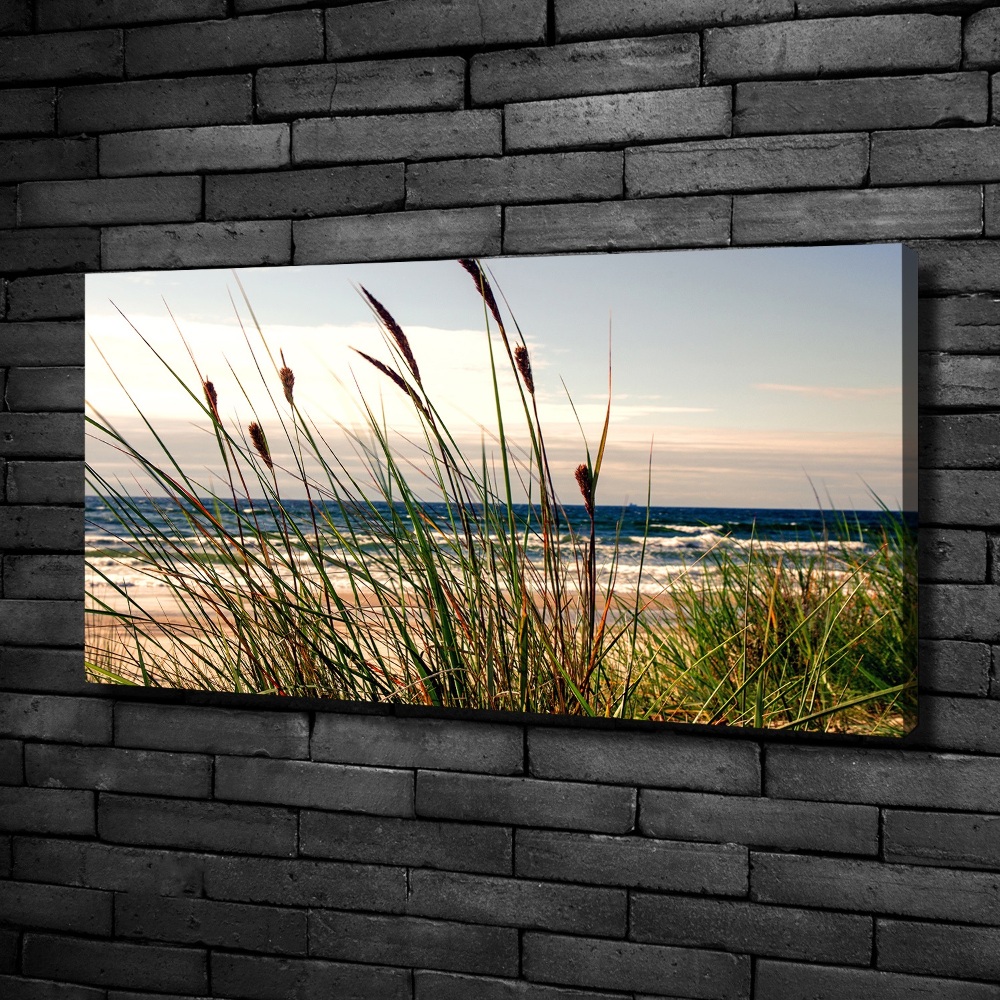 Tableau photo sur toile Les dunes de mer