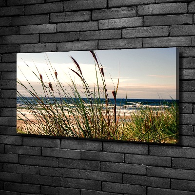 Tableau photo sur toile Les dunes de mer