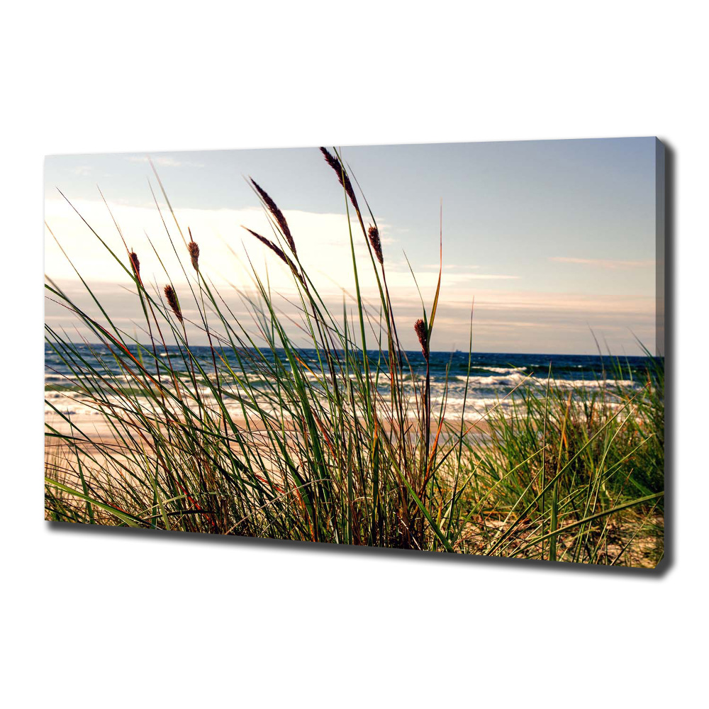 Tableau photo sur toile Les dunes de mer