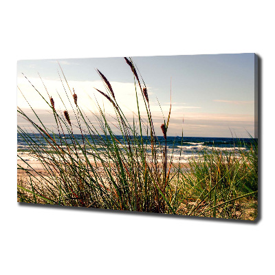 Tableau photo sur toile Les dunes de mer