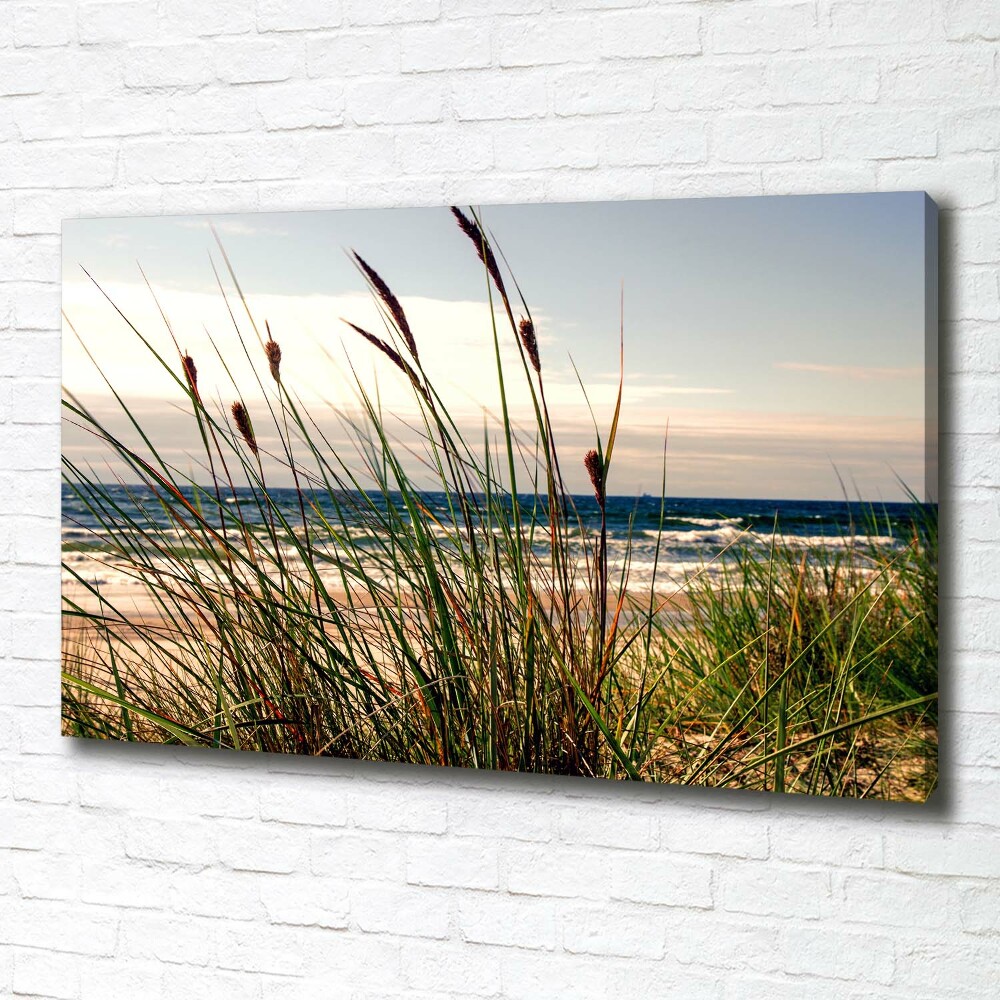 Tableau photo sur toile Les dunes de mer