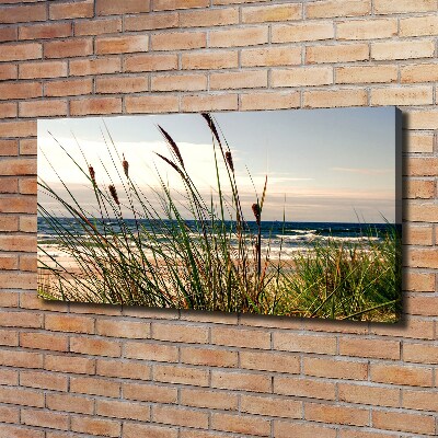 Tableau photo sur toile Les dunes de mer