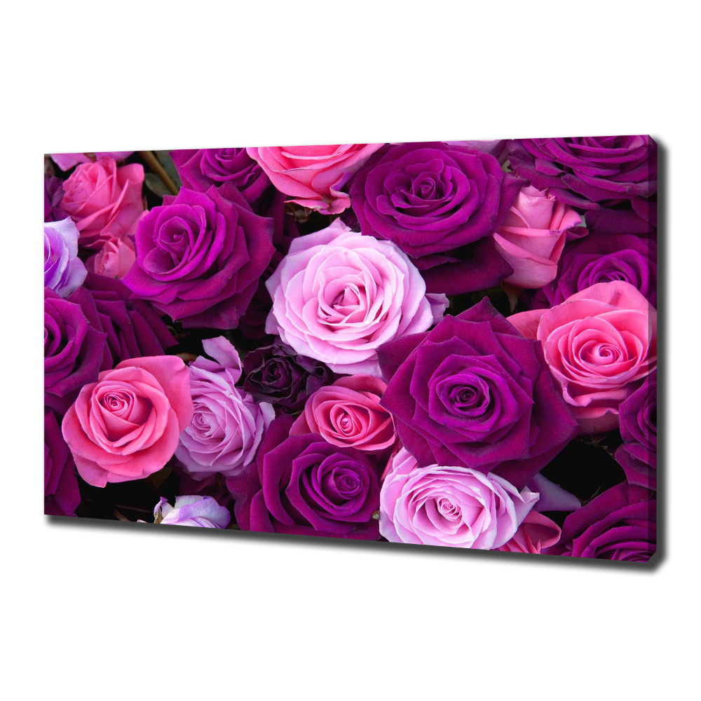 Tableau photo sur toile Roses