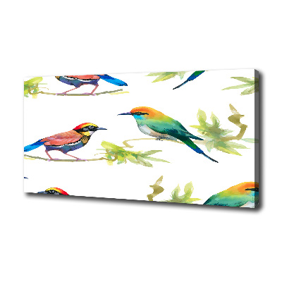 Tableau imprimé sur toile Oiseaux exotiques