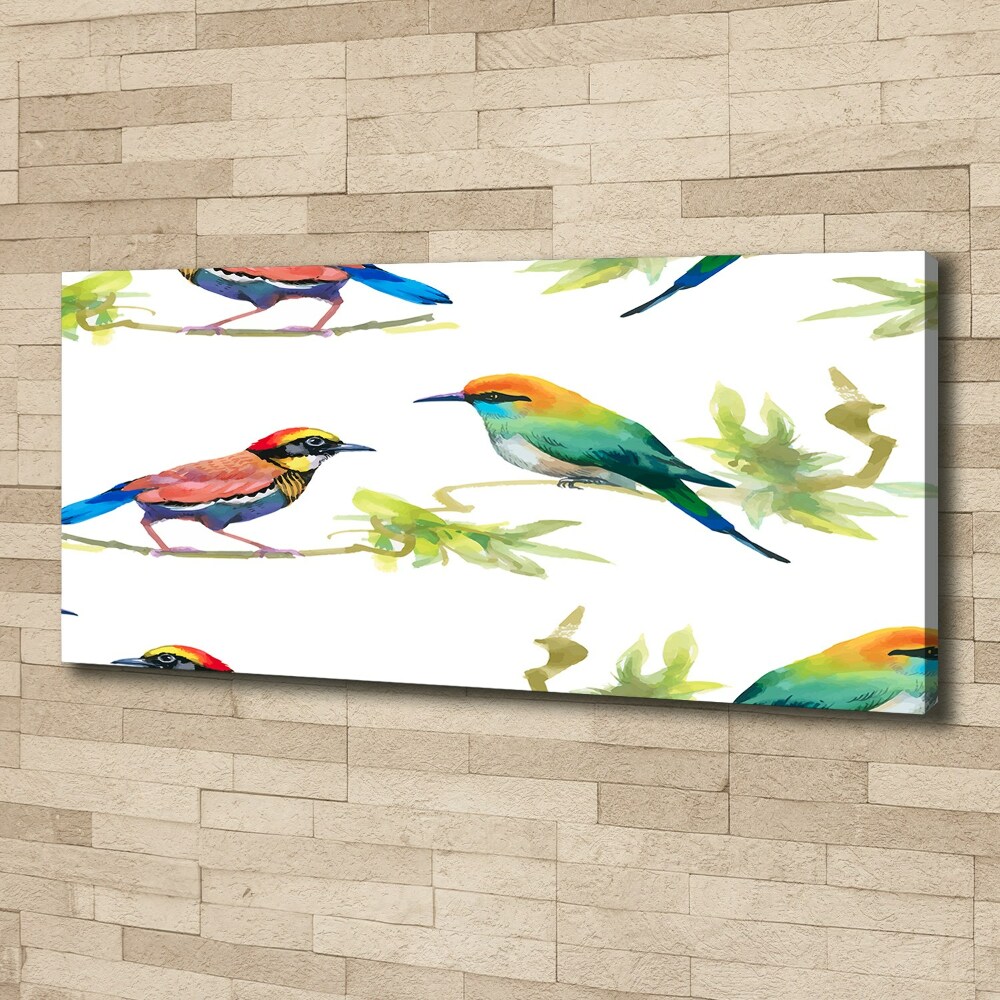 Tableau imprimé sur toile Oiseaux exotiques