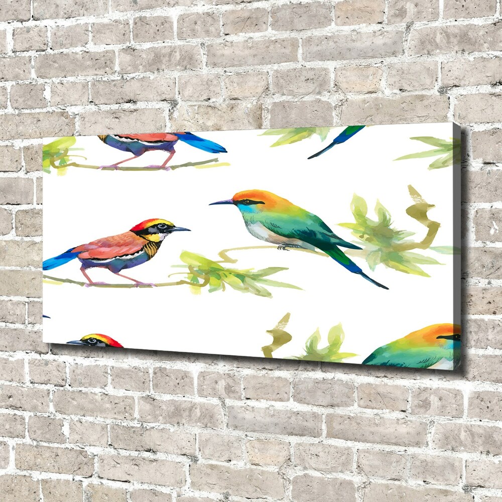 Tableau imprimé sur toile Oiseaux exotiques