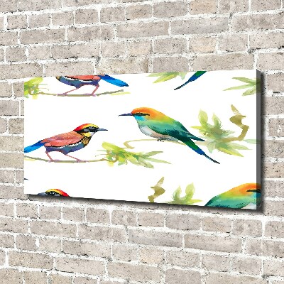 Tableau imprimé sur toile Oiseaux exotiques