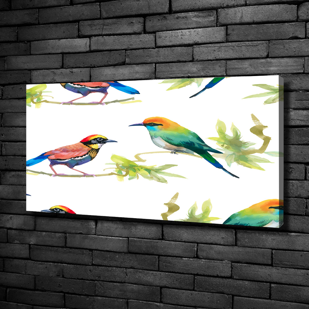 Tableau imprimé sur toile Oiseaux exotiques