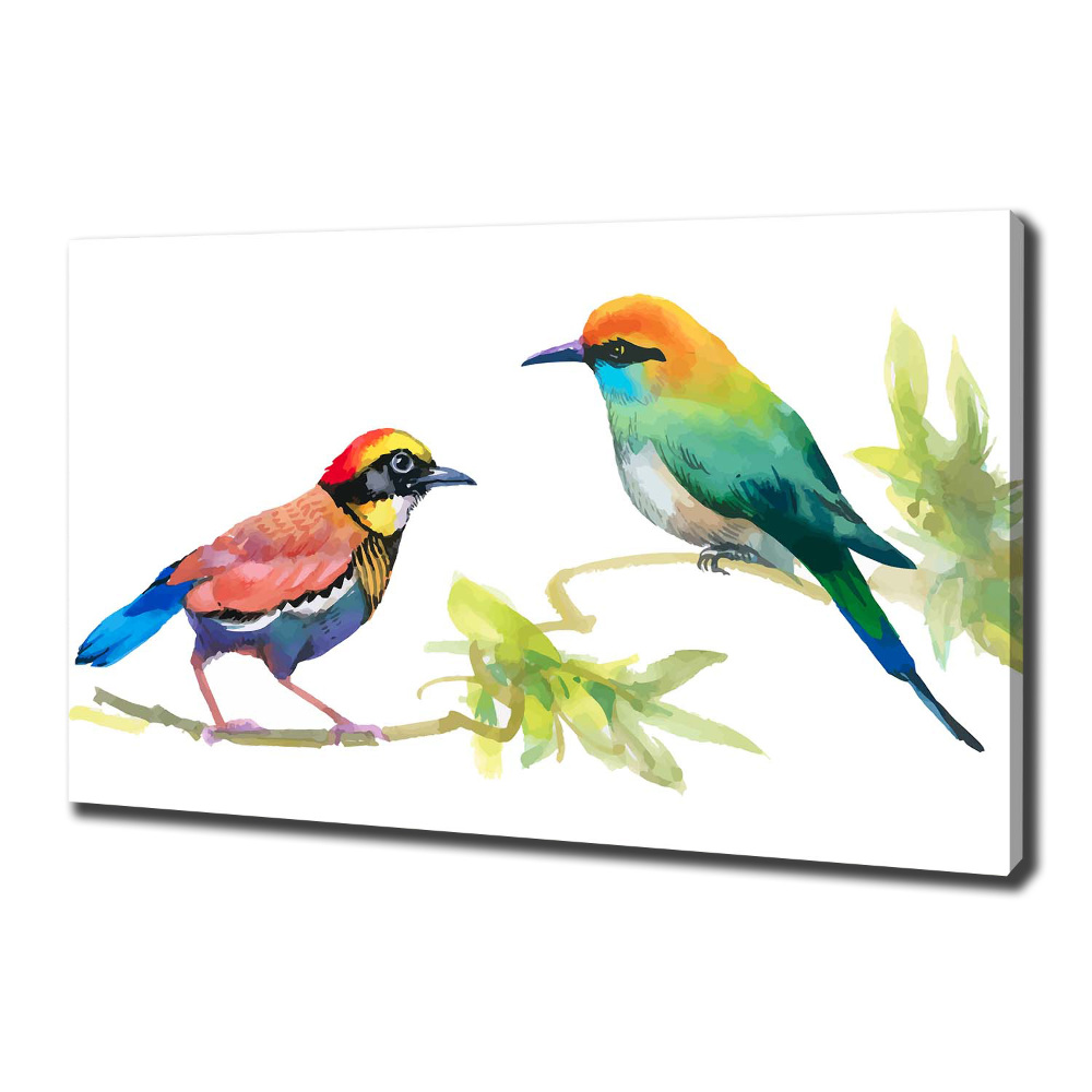 Tableau imprimé sur toile Oiseaux exotiques