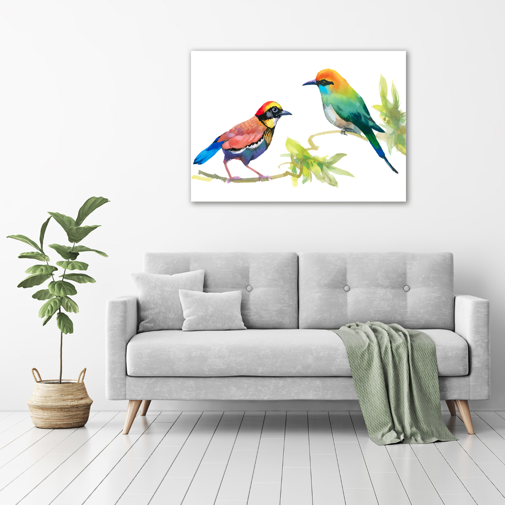 Tableau imprimé sur toile Oiseaux exotiques