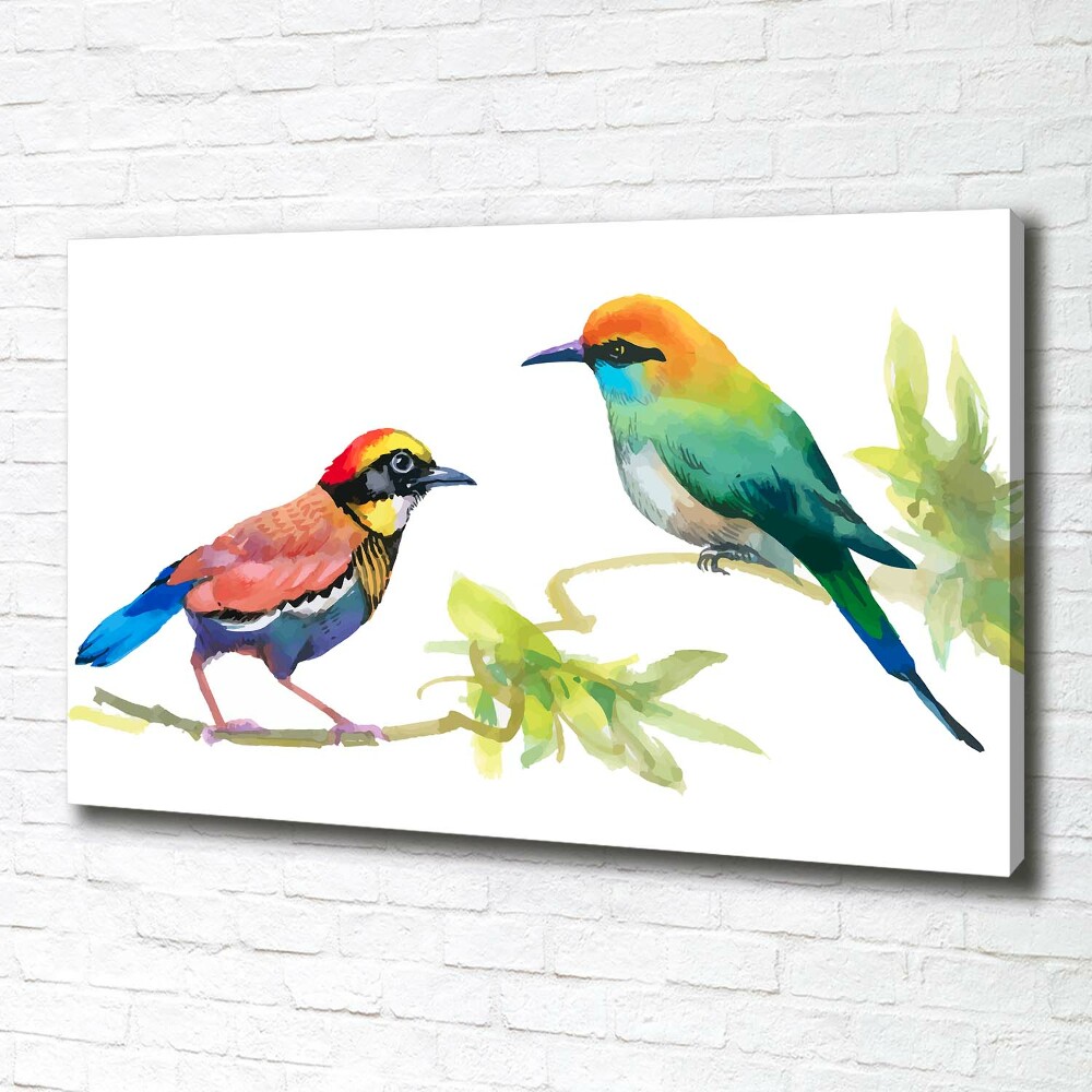 Tableau imprimé sur toile Oiseaux exotiques