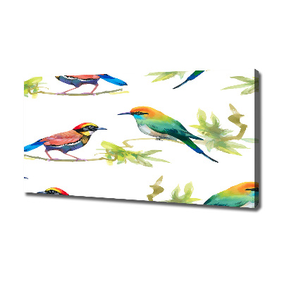 Tableau imprimé sur toile Oiseaux exotiques