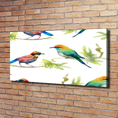 Tableau imprimé sur toile Oiseaux exotiques