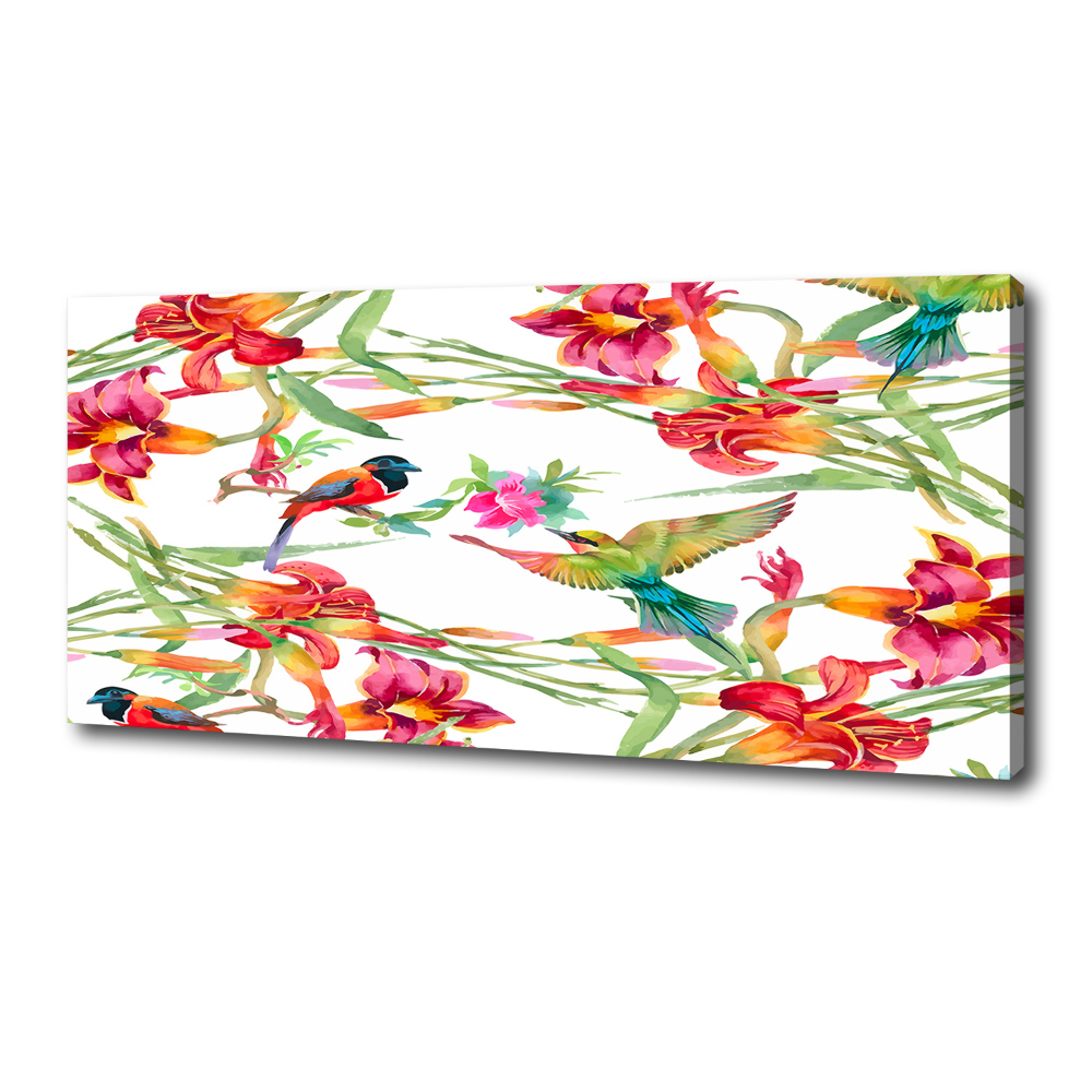 Tableau photo sur toile Oiseaux exotiques