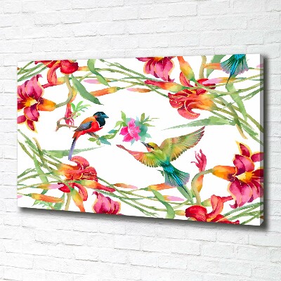 Tableau photo sur toile Oiseaux exotiques