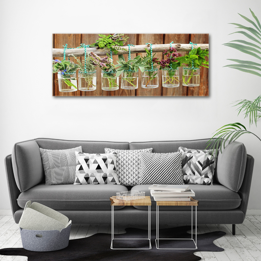 Tableau photo sur toile Herbes en pots