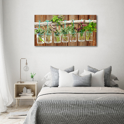 Tableau photo sur toile Herbes en pots