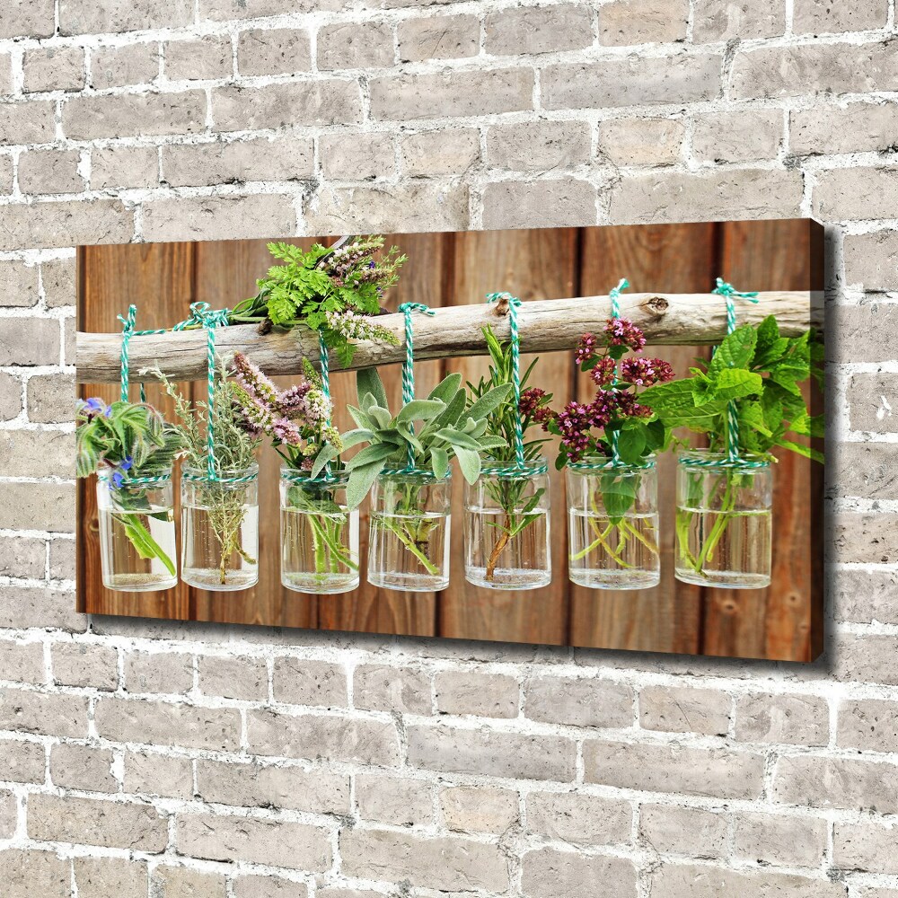 Tableau photo sur toile Herbes en pots