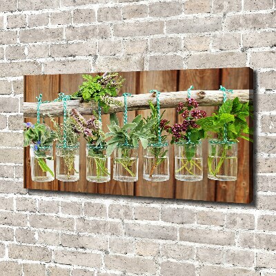 Tableau photo sur toile Herbes en pots