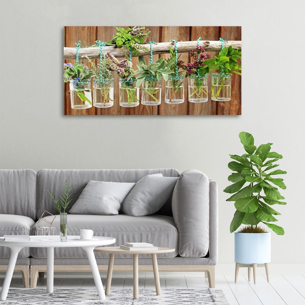 Tableau photo sur toile Herbes en pots