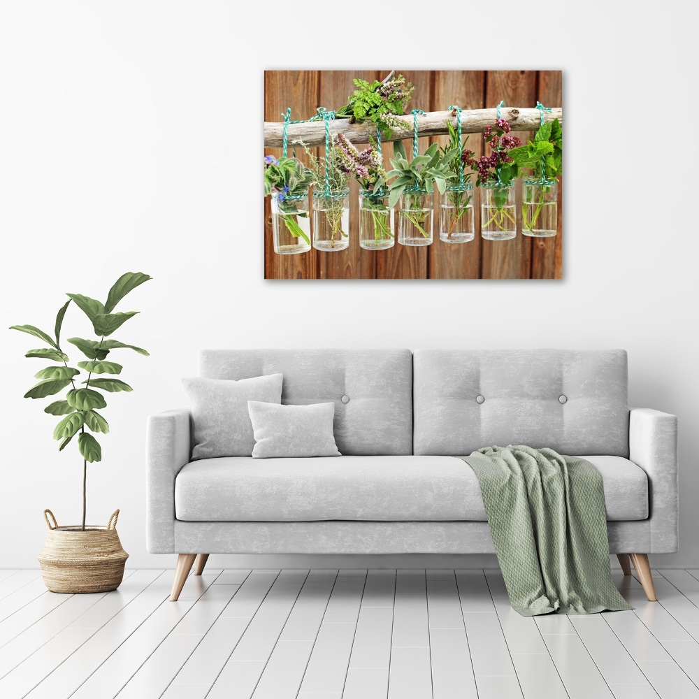 Tableau photo sur toile Herbes en pots